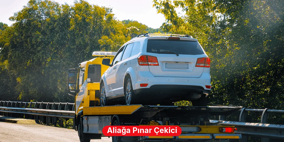 Aliağa Pınar Çekici
